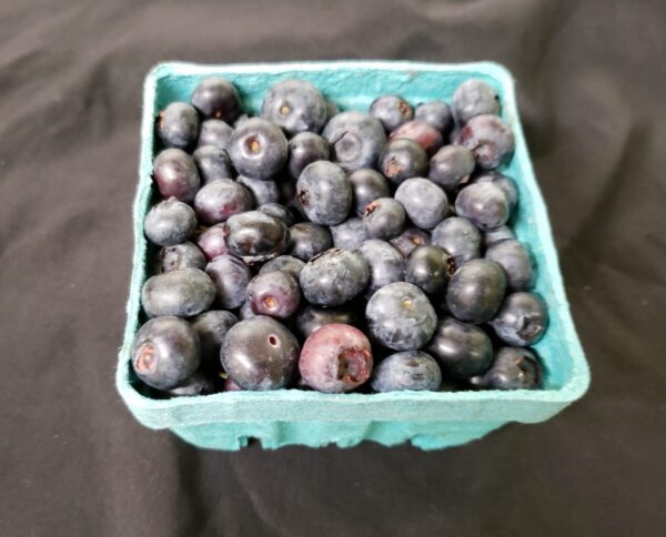 Organic Blueberries
