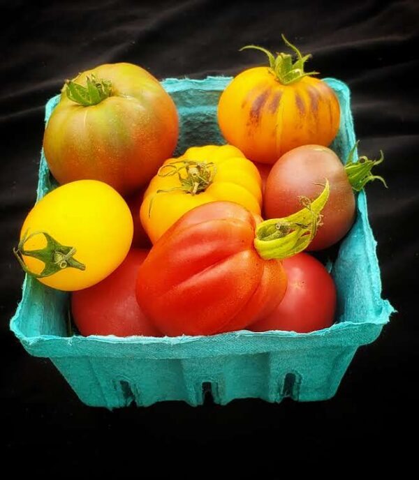Heirloom | Specialty Tomatoes - Quart