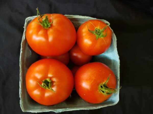 Red Tomatoes - Quart
