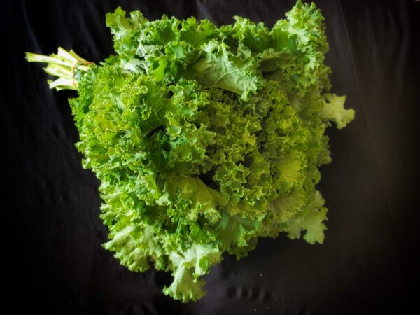 Curly Kale