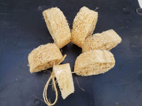 Loofah sponge, narrow cut