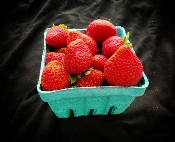 Strawberries